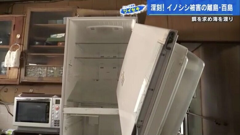 イノシシに壊された空き家の冷蔵庫