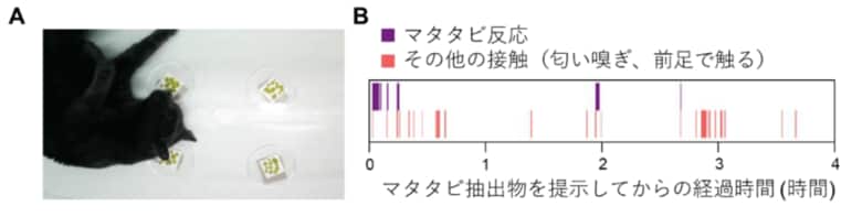 （出典:岩手大学）
