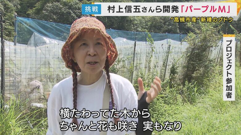 収穫体験の様子