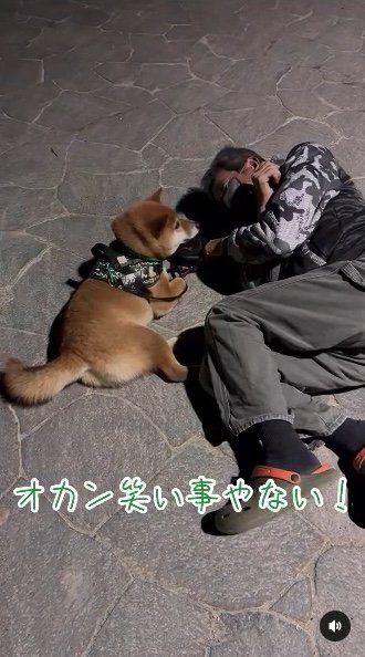 提供：カンさん