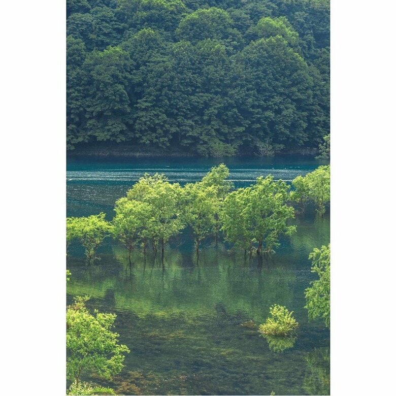 秋田県仙北市（2024年6月撮影）