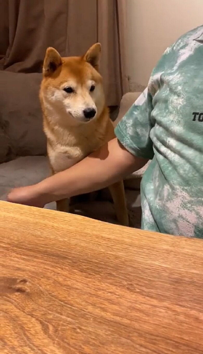 「お座り」からスタート　父ちゃんの指示に従う