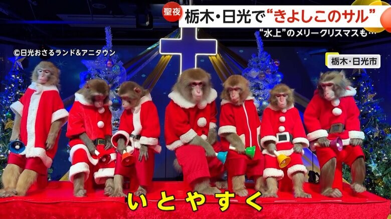 日光さる軍団が「きよしこの夜」を演奏する様子