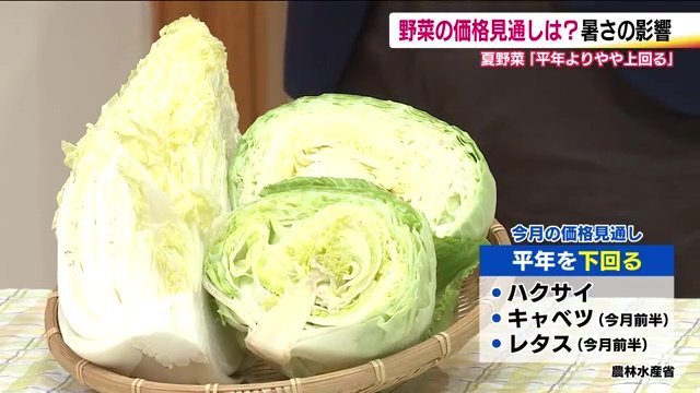 平年よりお買い得な野菜