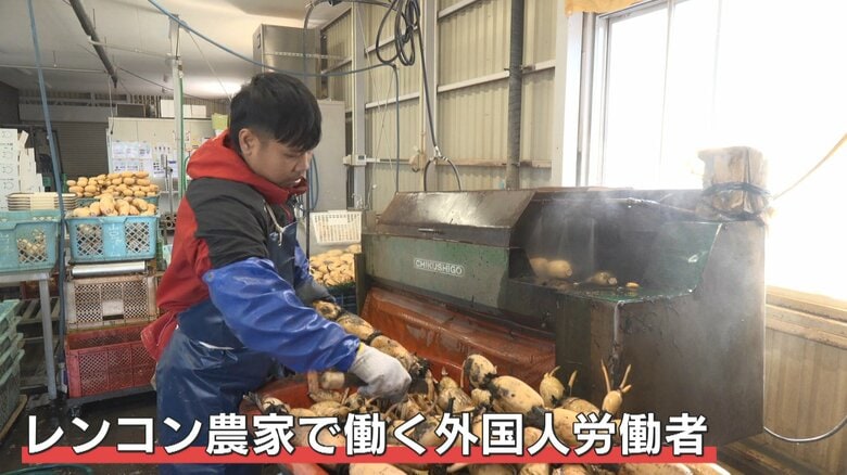 正規の在留資格で働くインドネシア人