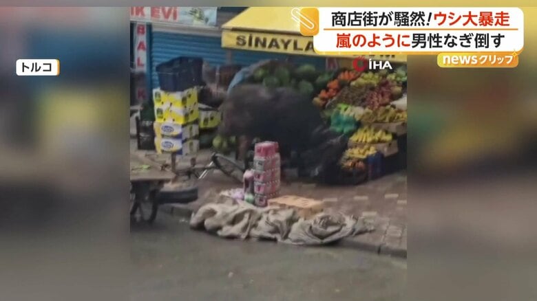 商店街に現れたウシ（トルコ）
