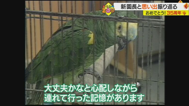 グリーンとのテレビ出演時の思い出を語る