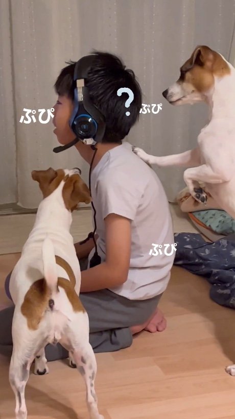 提供：あずもなさん