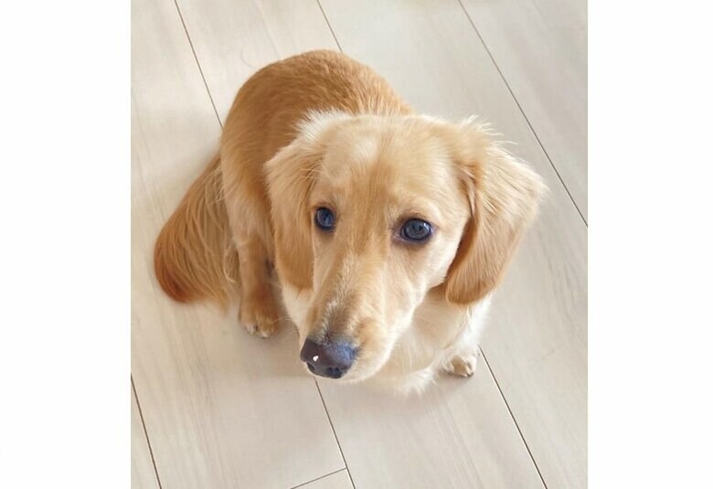 提供：___0516.wanさん