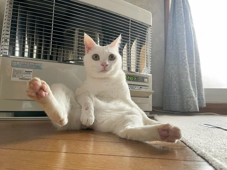 股を開いてセクシーポーズ