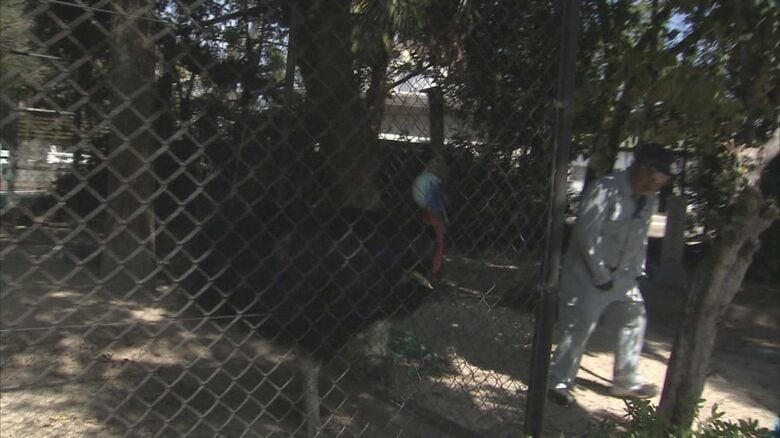 なぜか4人の男性事務職員だけを威嚇