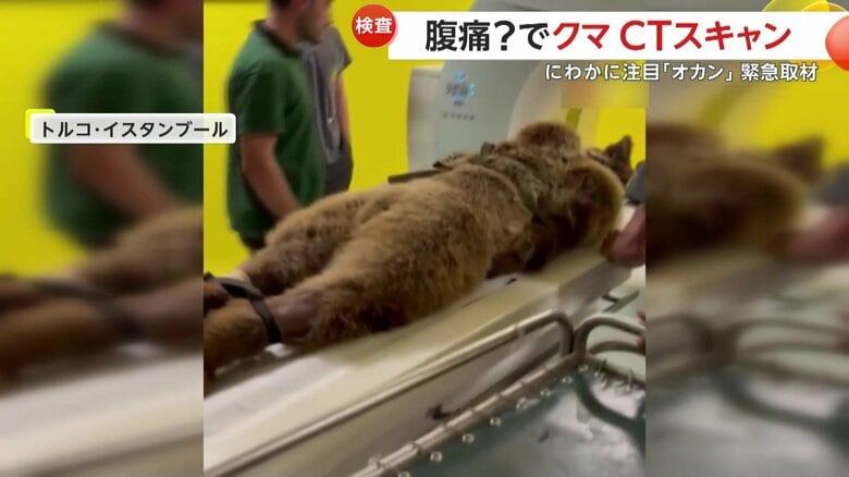 検査のため、ゆっくり機械の中に入っていったオカン