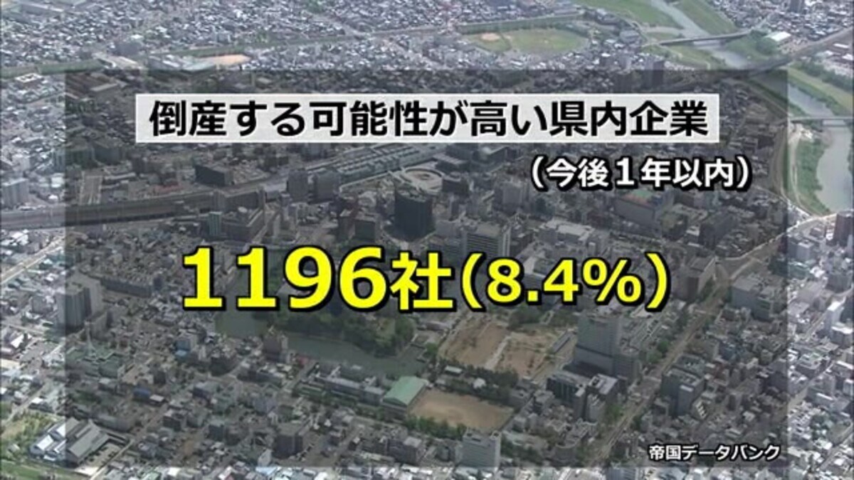 1年以内に倒産”リスク高い企業 福井県全体の8.4%、1196社に上る 1年以内に倒産”リスク高い企業 福井県全体の8.4%、1196社に上る