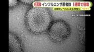 静岡県内のインフルエンザ患者数 １週間で倍増　中部保健所管内は注意報の目安10人に迫る勢い