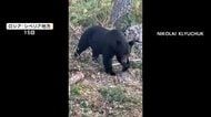 飢えたクマの集落侵入相次ぐ　10人死亡　24時間で12頭駆除された地域も　ロシア