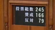 ロキソニンなど「OTC類似薬」処方で追加負担　健康保険法改正案が可決・成立　薬代の25％が「特別料金」に