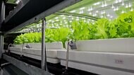 【注目】天候不順や人手不足などで野菜価格の高騰続くなか…まるでSF映画？全自動で育てる最新鋭の「植物工場」野菜の安定供給にもつながる