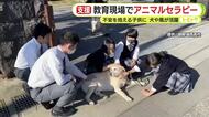 教育現場でアニマルセラピー 犬や馬が活躍 子供たちに安心感や癒しを