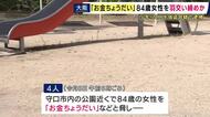 「お金ちょうだい」散歩中の84歳女性を羽交い締めに　現金8万円など入った財布奪ったか　15～17歳の少年少女4人逮捕　「相手が嫌がったので相談して奪うことにしました」容疑認める　大阪・守口市