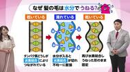 ７月１日（水）宮崎の天気
