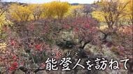 【能登人を訪ねて】♯79 どこよりも甘い柿を　～能登町・柳田尚利さん～