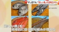 “処理が難しい魚”も美味しく「珍しい魚」への注目高まる　すし店や学校給食、サブスクサービスなどで活用