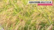 石川県内の主食用米、2100トン減の予想収穫量　背景に「備蓄米への切り替え」