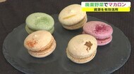野菜がマカロンに!規格外の春菊や玉ねぎを活用 色鮮やかなスイーツに【岡山・瀬戸内市】