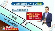 新潟の天気<お空にタッチ>1/29・30 山沿い中心に雪 “表層雪崩”に注意を!