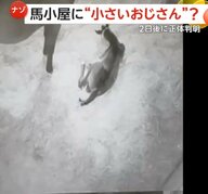 【小さいおじさんの正体】「テケテケって歩き出し…心臓が口から出そう」馬小屋に出没した謎の物体…不気味な2本足は「クモ」か　北海道・新冠町