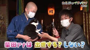 釜石市の「おらほがイチバン」 不思議な能力を持つネコとの出会いも…<岩手県>