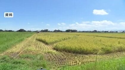 今年の富山県産主食用米の予想収穫量は1万5800トン増加の見通し
