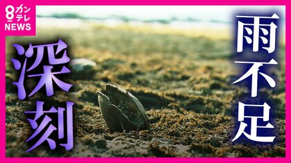 川が干上がり　田んぼにひびが　米の収量も減る恐れ「台風1個や2個では足りない」”31年前『平成の大渇水』に匹敵かそれ以上の水不足”　気象予報士「降ってくる雨の量は調整できないが使う量は調整できる」節水呼びかけ