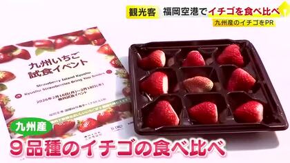 「九州産イチゴの魅力知って」海外からの観光客に熱烈アピール　福岡空港で9品種を食べ比べできるイベント開催