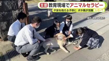 教育現場でアニマルセラピー 犬や馬が活躍 子供たちに安心感や癒しを