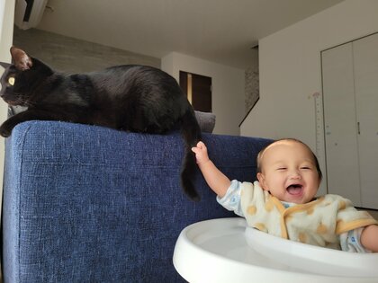 誘うように尻尾をフリフリ！赤ちゃんはソフトにタッチ！黒猫と赤ちゃんの日常が「優しい世界」…母親に関係性を聞いた