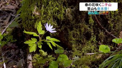 春本番の“二子山”へ日帰り登山　山頂では「春の北アルプス」眺望　「山ごはん」にも舌つづみ【富山発】