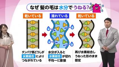 ７月１日（水）宮崎の天気