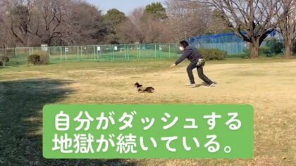 愛犬に振り回されるのはリードが短いから？ロングリードにしてみてもまた爆走…散歩で“ヘトヘト”パパに爆笑
