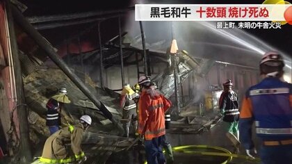 牛舎の火事で黒毛和牛10数頭焼け死ぬ…気温上昇で今季初めて大型扇風機使用・火事との関連調べる【山形発】