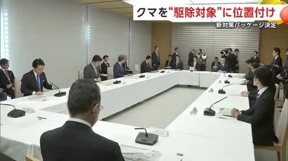 クマを「保護」から「駆除」へ　政府がクマ対策パッケージを発表