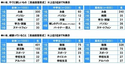 中高生が思い描く将来についての意識調査21