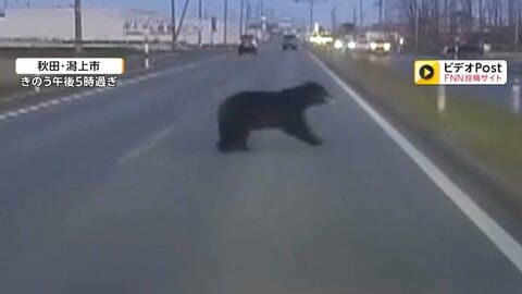 「クマいるよ！」釣り人騒然　防波堤の近くにクマ出没　近くで“釣りイベント”　周辺で目撃情報相次ぐ　秋田市
