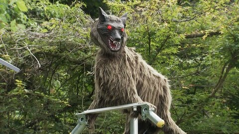 音や光でクマを撃退…ファミリーマートが“モンスターウルフ”を設置　山あいのコンビニでクマ出没防ぐ初の実証実験