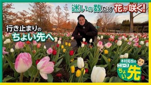 寒空のもと咲き誇るチューリップで2026年のニュースを紹介　千葉・船橋市「ふなばしアンデルセン公園」から中継