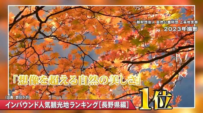 (2023年撮影の上高地の紅葉)