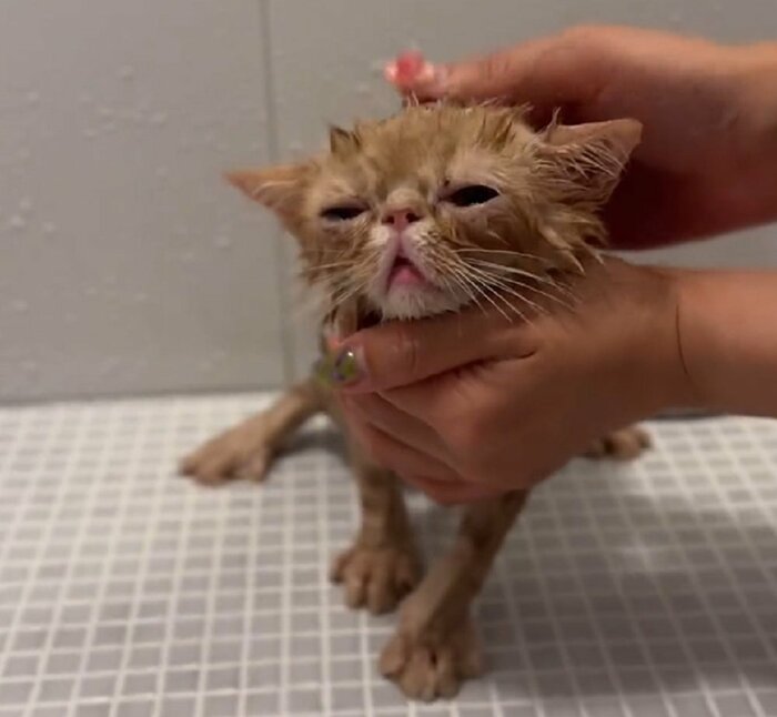 少し気持ちよさそう?
