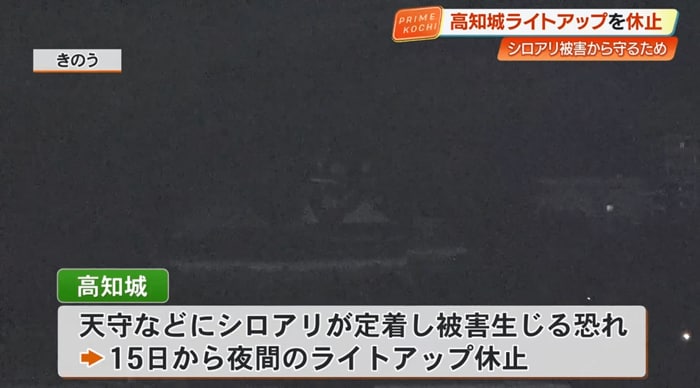 通常であればライトアップされている暗闇の中の高知城