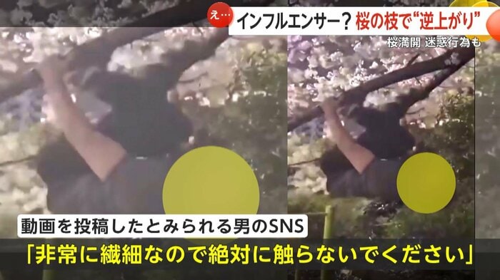 男は迷惑行為についてSNSで謝罪した