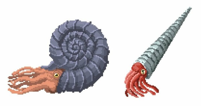 こちらもドット絵のアンモナイトたち